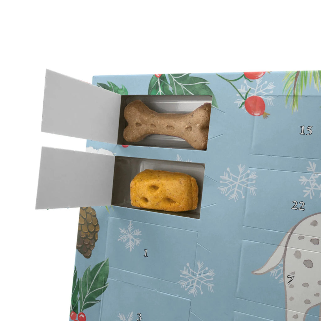 Personalisierter Hunde Adventskalender Dalmatiner Moment Hunde Adventskalender, Geschenk, Schenken, Hund, Hunderasse, Rassehund, Hundebesitzer, Tierfreund, Welpe, Dalmatinac, Dalmatiner