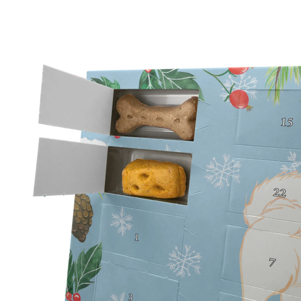 Personalisierter Hunde Adventskalender Havaneser Moment Hunde Adventskalender, Geschenk, Schenken, Hund, Hunderasse, Rassehund, Hundebesitzer, Tierfreund, Welpe, Bichon Havanais, Havaneser, Havi, Bichón Habanero