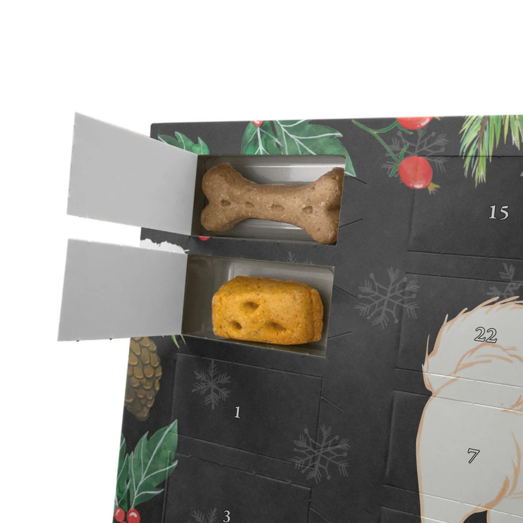 Personalisierter Hunde Adventskalender Havaneser Moment Hunde Adventskalender, Geschenk, Schenken, Hund, Hunderasse, Rassehund, Hundebesitzer, Tierfreund, Welpe, Bichon Havanais, Havaneser, Havi, Bichón Habanero