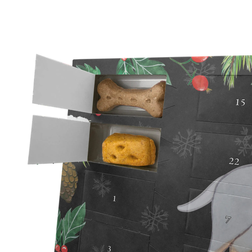 Personalisierter Hunde Adventskalender Manchester Terrier Moment Hunde Adventskalender, Geschenk, Schenken, Hund, Hunderasse, Rassehund, Hundebesitzer, Tierfreund, Welpe, Manchester Terrier