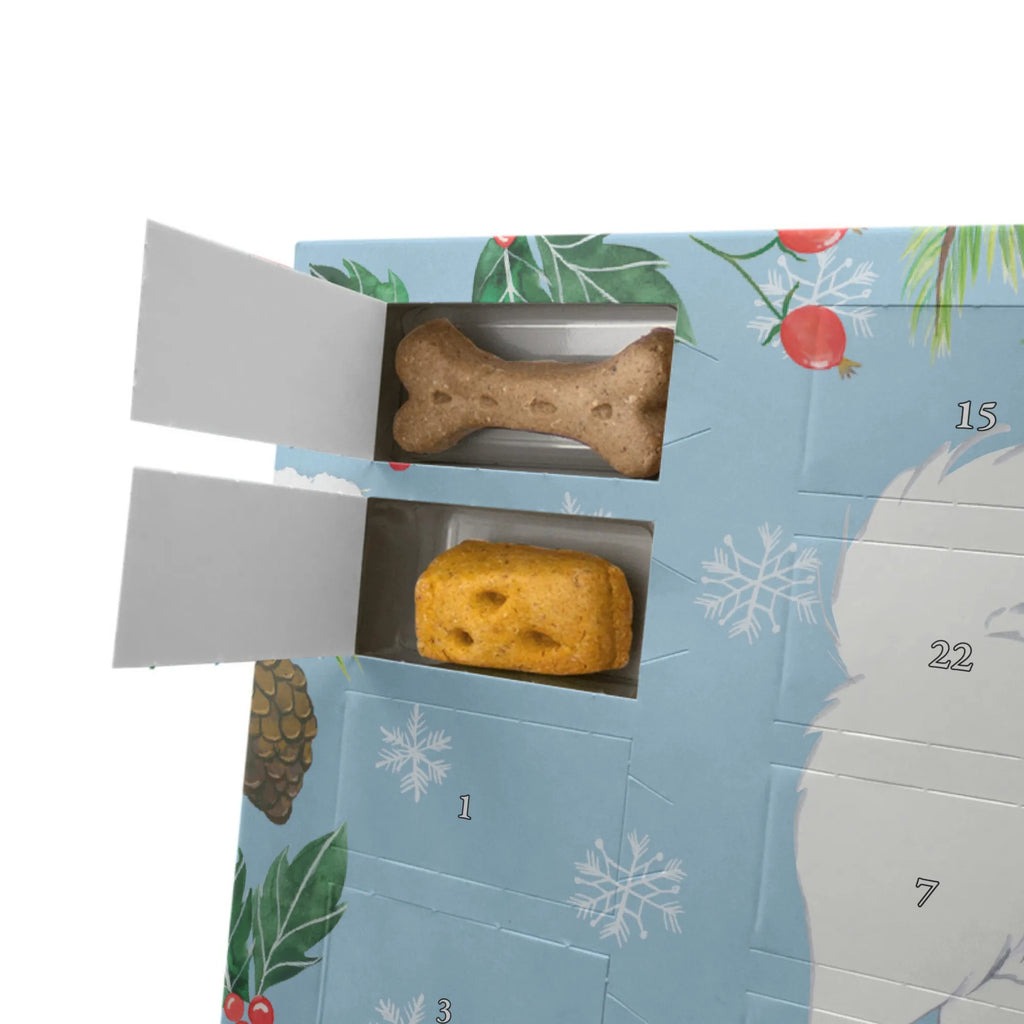 Personalisierter Hunde Adventskalender Samojede Moment Hunde Adventskalender, Geschenk, Schenken, Hund, Hunderasse, Rassehund, Hundebesitzer, Tierfreund, Welpe, Samojedenhund, Samojede, Samojedenspitz