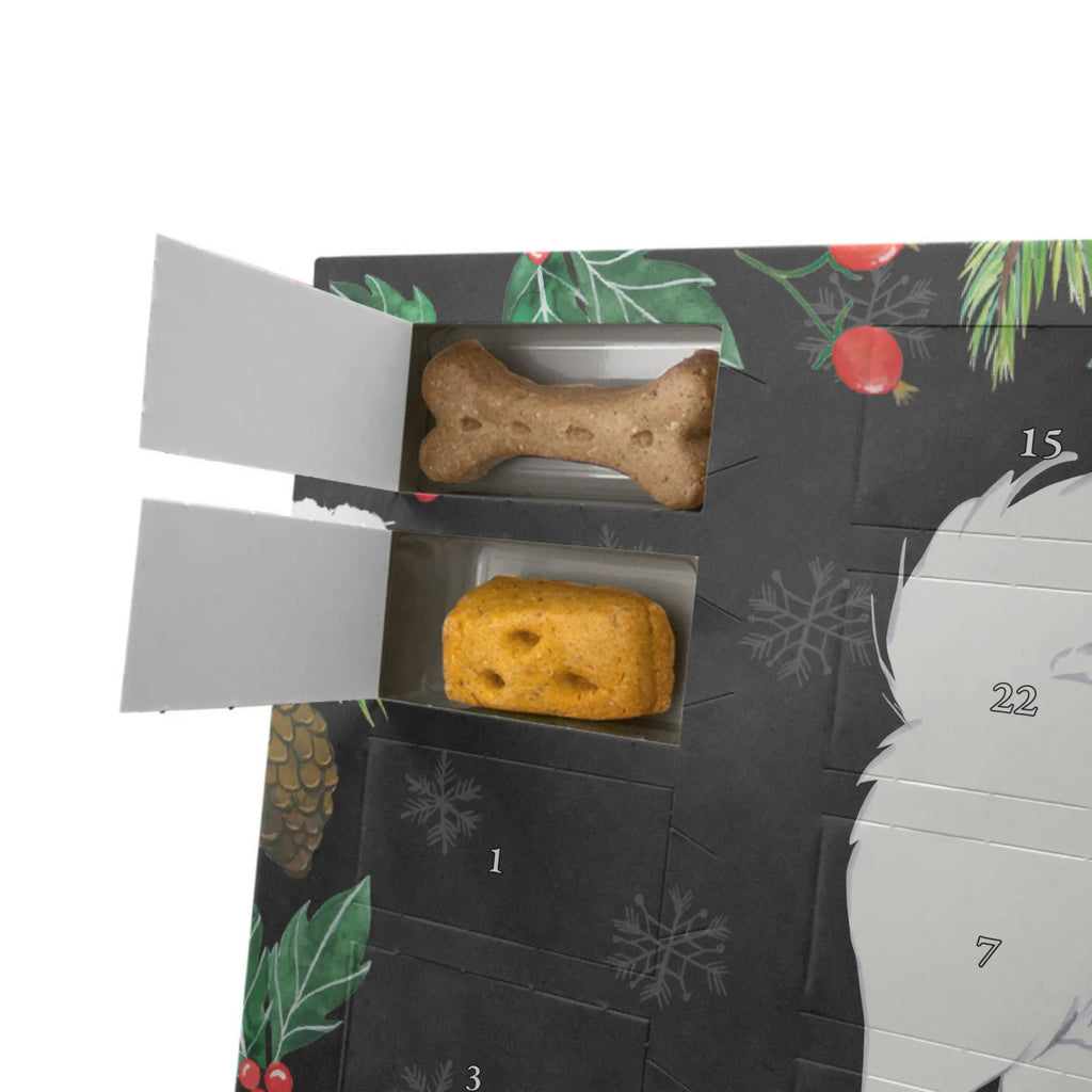 Personalisierter Hunde Adventskalender Samojede Moment Hunde Adventskalender, Geschenk, Schenken, Hund, Hunderasse, Rassehund, Hundebesitzer, Tierfreund, Welpe, Samojedenhund, Samojede, Samojedenspitz