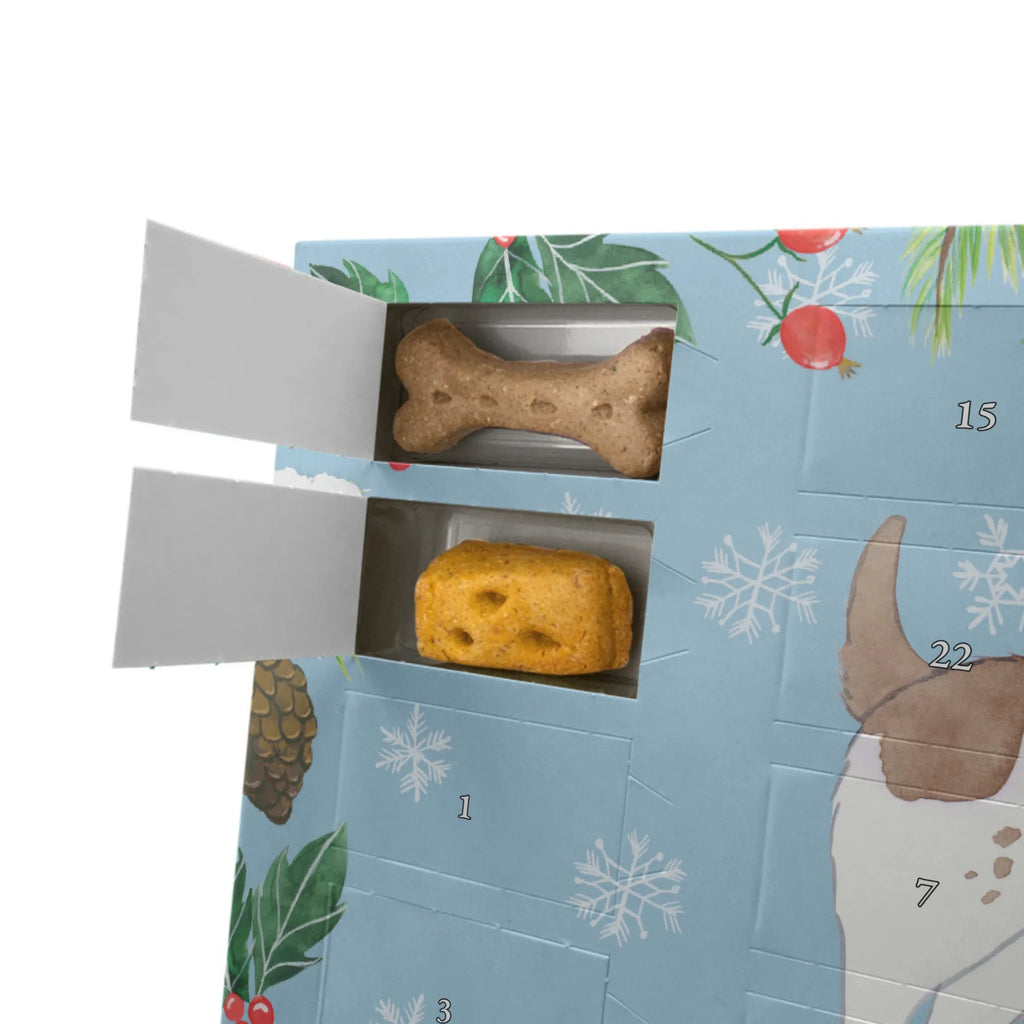 Personalisierter Hunde Adventskalender English Springer Spaniel Moment Hunde Adventskalender, Geschenk, Schenken, Hund, Hunderasse, Rassehund, Hundebesitzer, Tierfreund, Welpe, English Springer Spaniel