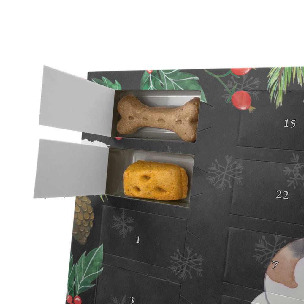  Foxhound Chwila Pies, rasa psa, pies rasowy, właściciel psa, prezent, miłośnik zwierząt, dawanie, szczeniak