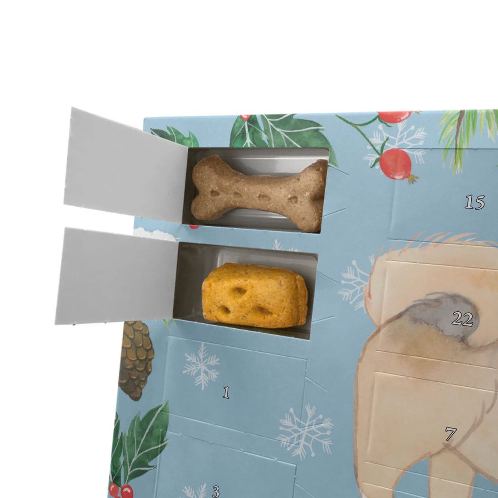  Pekińczyk Moment Pies, rasa psa, pies rasowy, właściciel psa, prezent, miłośnik zwierząt, dawanie, szczeniak