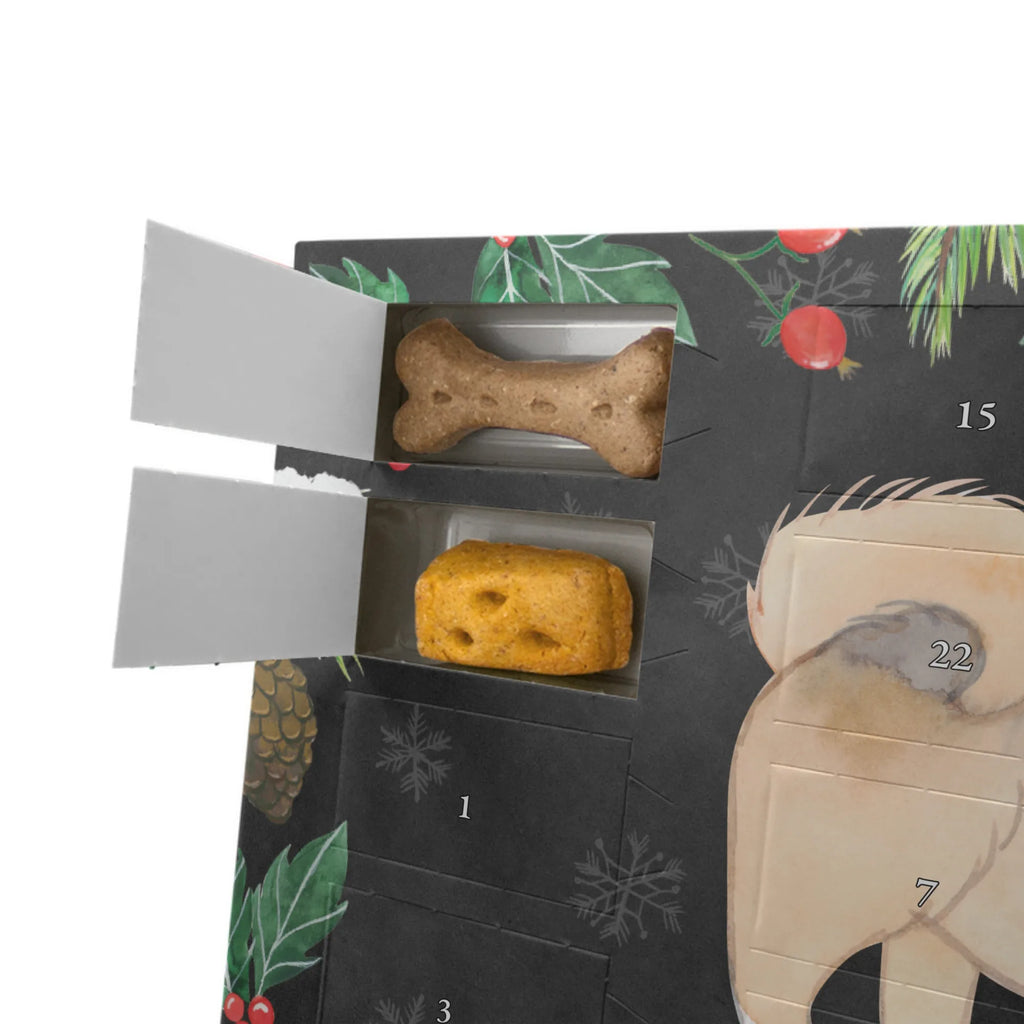  Pekińczyk Moment Pies, rasa psa, pies rasowy, właściciel psa, prezent, miłośnik zwierząt, dawanie, szczeniak