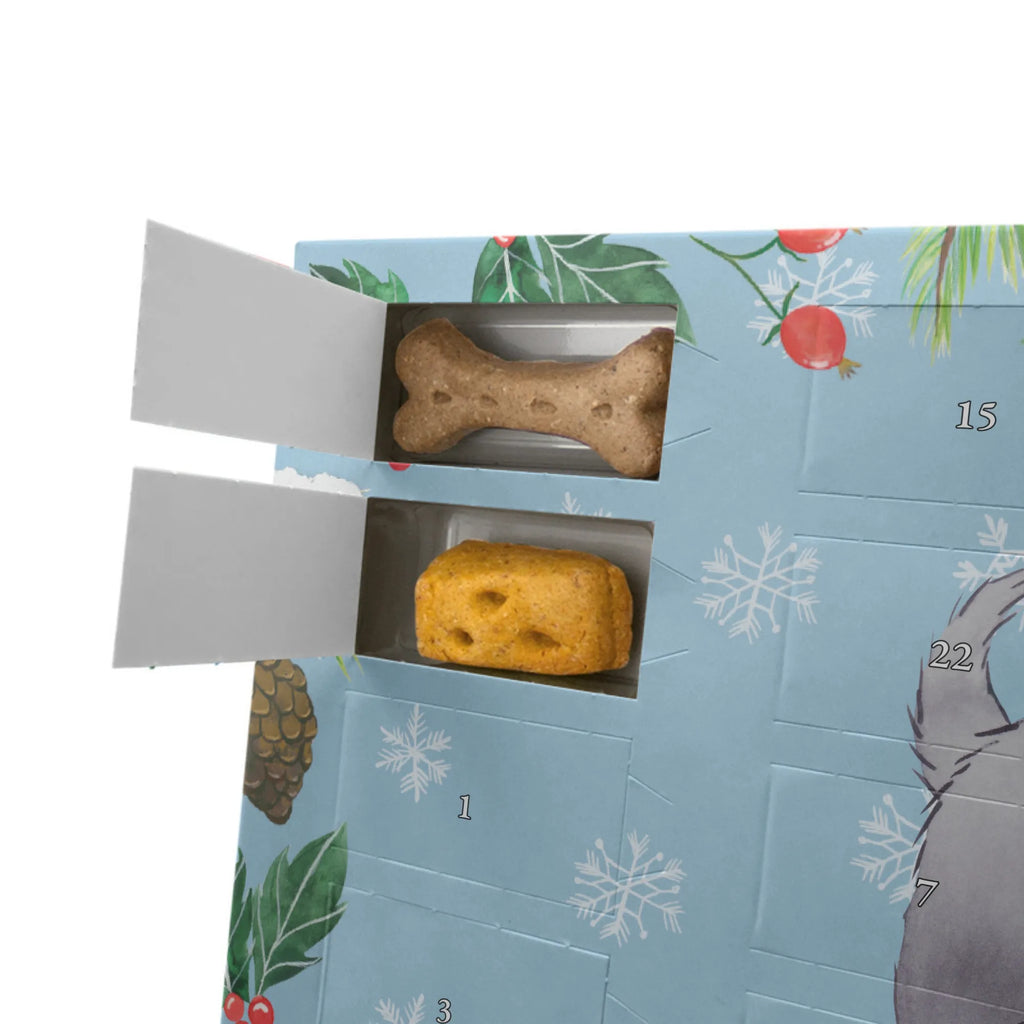  małpi pinscher chwila Hunde Adventskalender, Geschenk, Schenken, Hund, Hunderasse, Rassehund, Hundebesitzer, Tierfreund, Welpe, Affenpincher