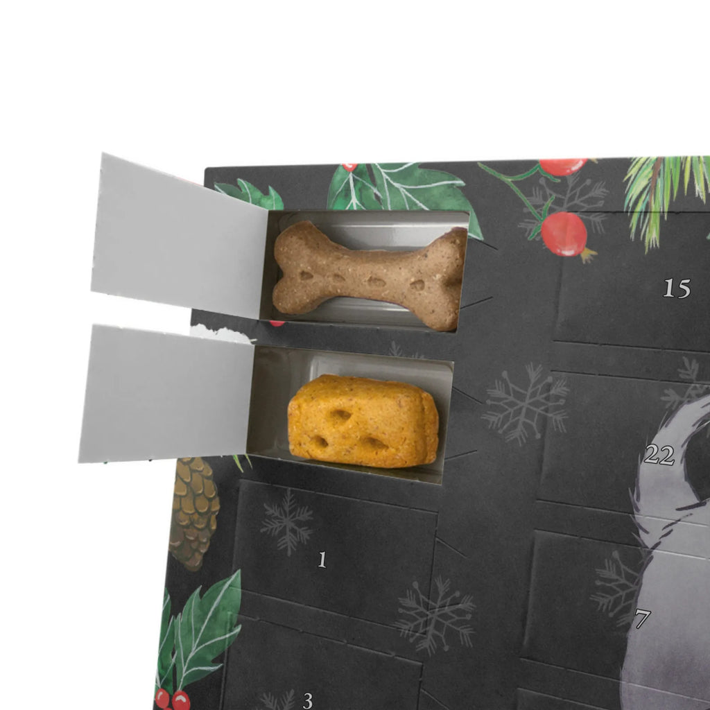  małpi pinscher chwila Hunde Adventskalender, Geschenk, Schenken, Hund, Hunderasse, Rassehund, Hundebesitzer, Tierfreund, Welpe, Affenpincher