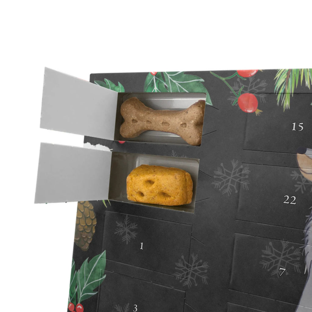 Personalisierter Hunde Adventskalender Gordon Setter Moment Hunde Adventskalender, Geschenk, Schenken, Hund, Hunderasse, Rassehund, Hundebesitzer, Tierfreund, Welpe, Gordon Shetter, Jagdhund