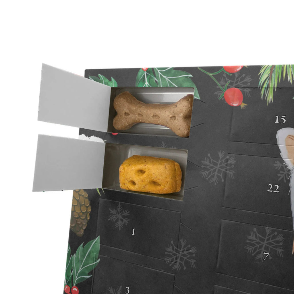 Personalisierter Hunde Adventskalender Prager Rattler Moment Hunde Adventskalender, Geschenk, Schenken, Hund, Hunderasse, Rassehund, Hundebesitzer, Tierfreund, Welpe, Pincher, Prager Rattler