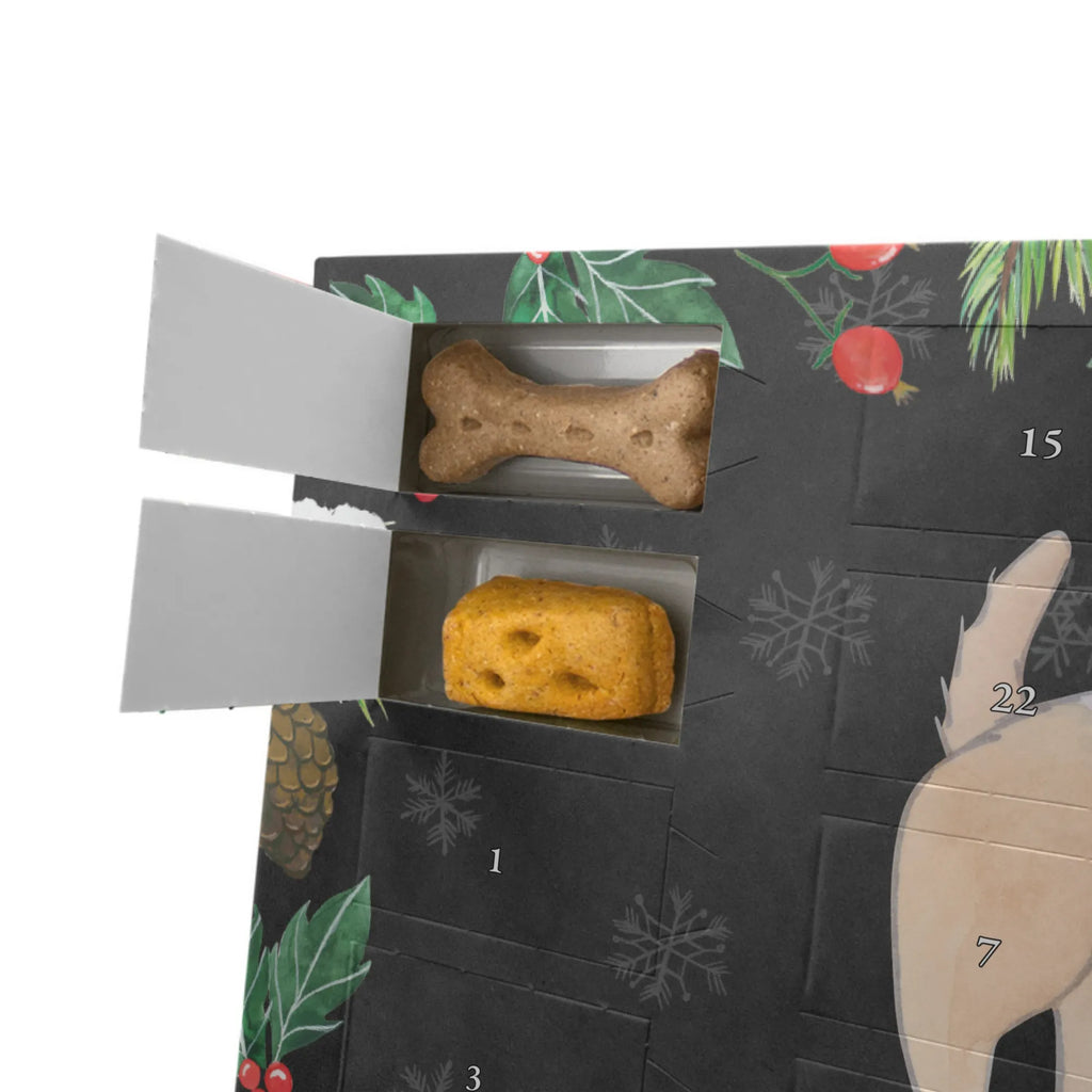  Border Terrier chwila Hunde Adventskalender, Geschenk, Schenken, Hund, Hunderasse, Rassehund, Hundebesitzer, Tierfreund, Welpe, Border Terrier