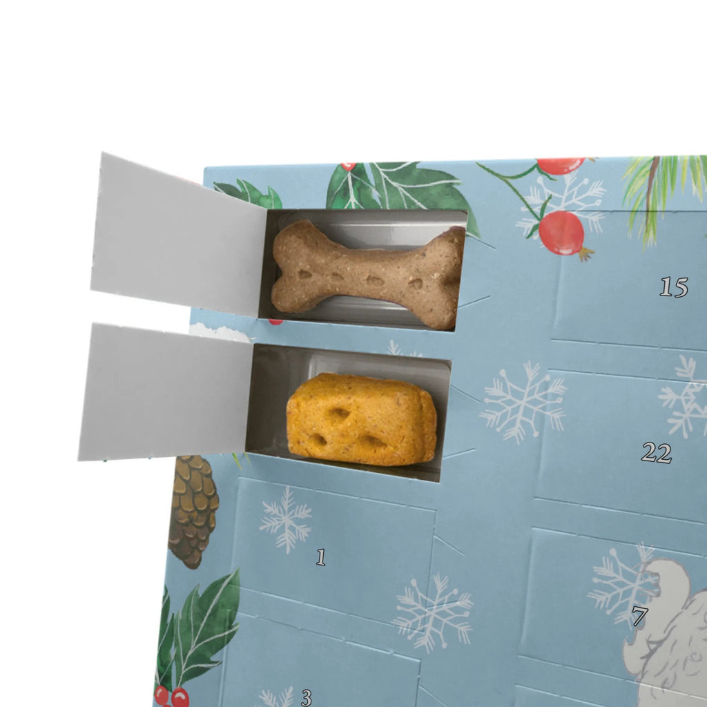 Personalisierter Hunde Adventskalender Bichon Frisé Moment Hunde Adventskalender, Geschenk, Schenken, Hund, Hunderasse, Rassehund, Hundebesitzer, Tierfreund, Welpe, Bichon Frisé