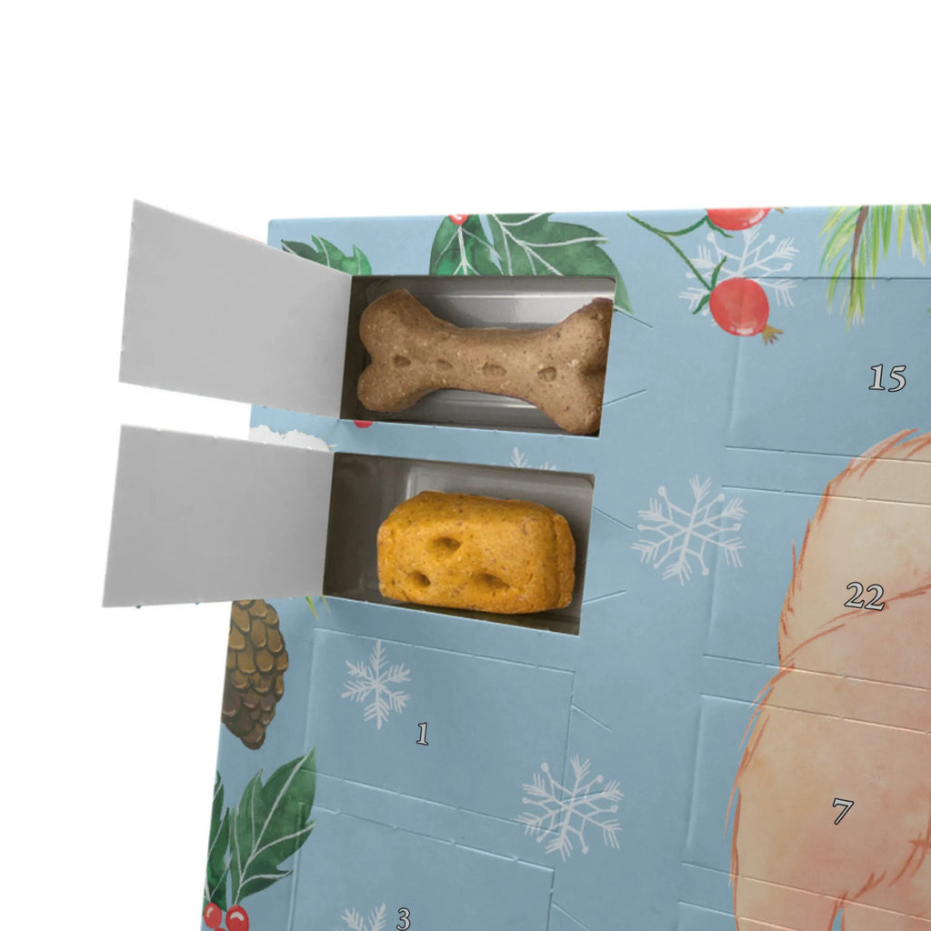 Personalisierter Hunde Adventskalender Chow-Chow Moment Hunde Adventskalender, Geschenk, Schenken, Hund, Hunderasse, Rassehund, Hundebesitzer, Tierfreund, Welpe, Asiatischer Spitz, Chow-Chow