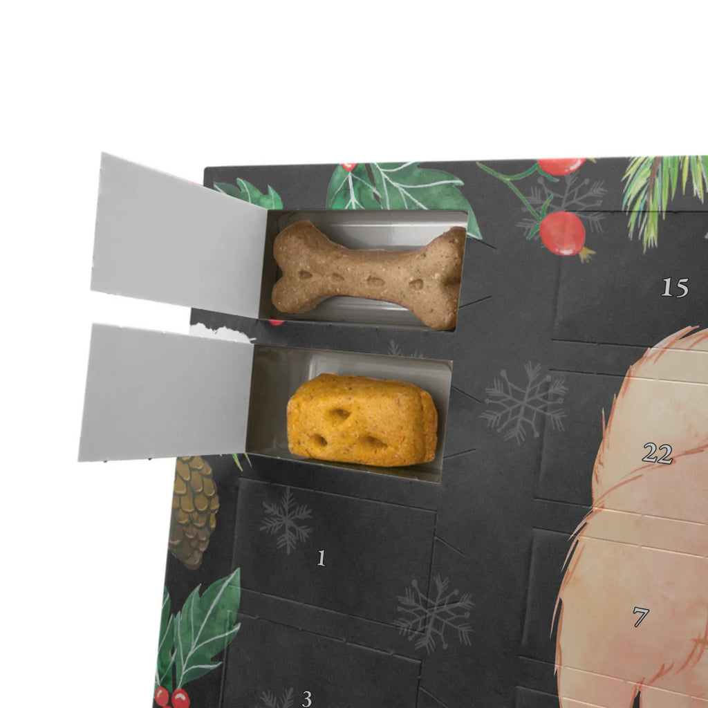 Personalisierter Hunde Adventskalender Chow-Chow Moment Hunde Adventskalender, Geschenk, Schenken, Hund, Hunderasse, Rassehund, Hundebesitzer, Tierfreund, Welpe, Asiatischer Spitz, Chow-Chow