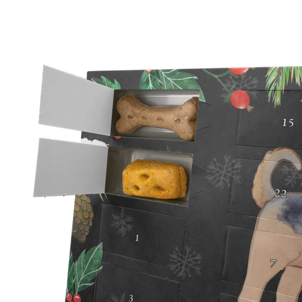  terier airedalski Chwila Hunde Adventskalender, Geschenk, Schenken, Hund, Hunderasse, Rassehund, Hundebesitzer, Tierfreund, Welpe, Airedale Terrier