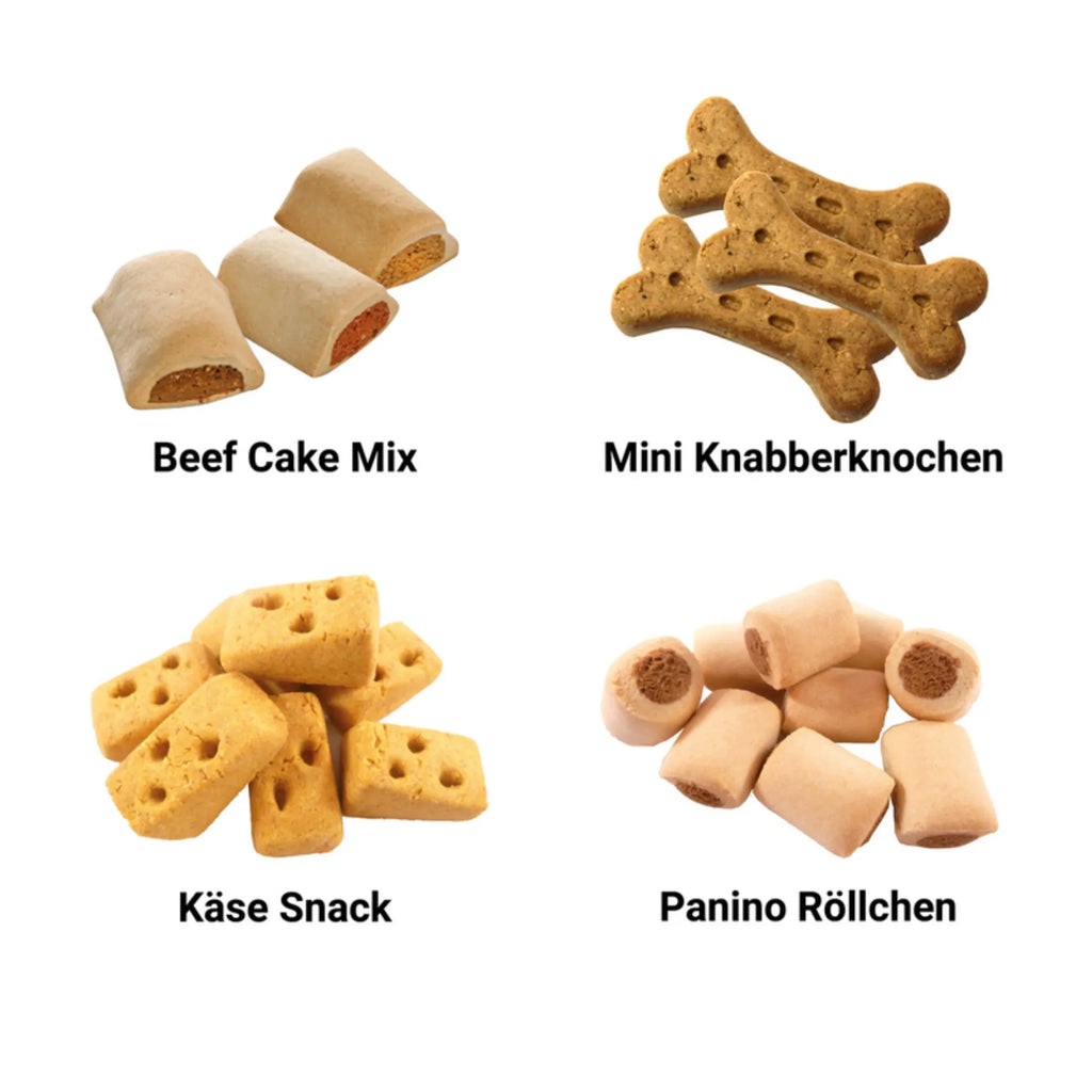  terier airedalski Chwila Hunde Adventskalender, Geschenk, Schenken, Hund, Hunderasse, Rassehund, Hundebesitzer, Tierfreund, Welpe, Airedale Terrier