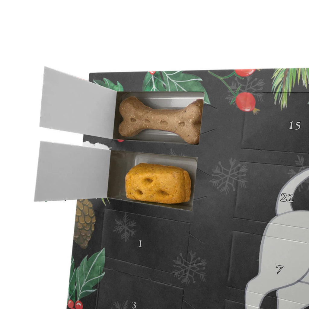 Personalisierter Hunde Adventskalender Bullterrier Moment Hunde Adventskalender, Geschenk, Schenken, Hund, Hunderasse, Rassehund, Hundebesitzer, Tierfreund, Welpe, Bullterrier