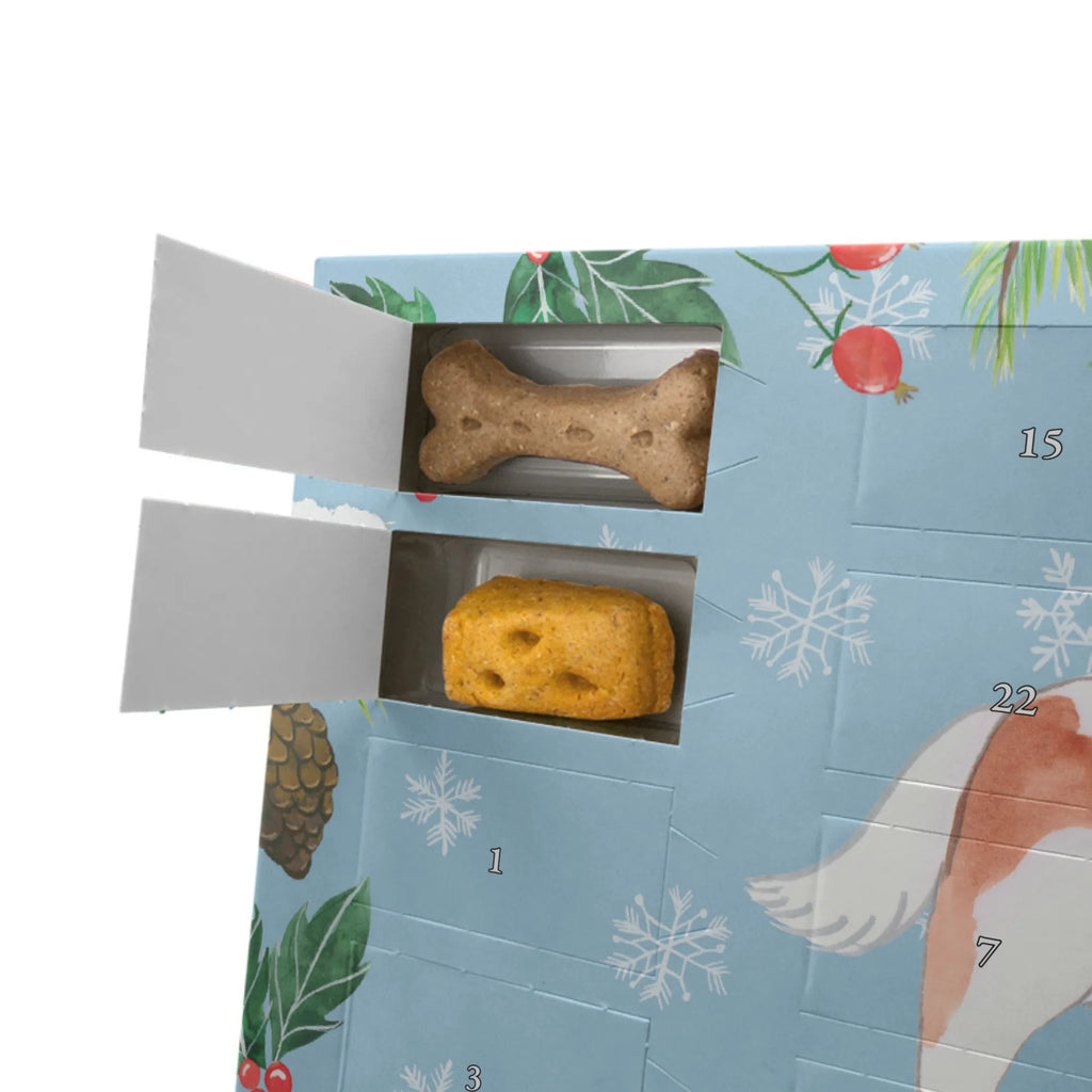 Personalisierter Hunde Adventskalender Cavalier King Charles Spaniel Moment Hunde Adventskalender, Geschenk, Schenken, Hund, Hunderasse, Rassehund, Hundebesitzer, Tierfreund, Welpe, Cavalier King Charles Spaniel