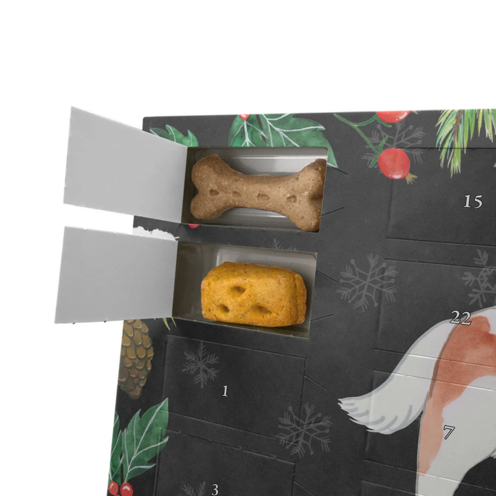 Personalisierter Hunde Adventskalender Cavalier King Charles Spaniel Moment Hunde Adventskalender, Geschenk, Schenken, Hund, Hunderasse, Rassehund, Hundebesitzer, Tierfreund, Welpe, Cavalier King Charles Spaniel