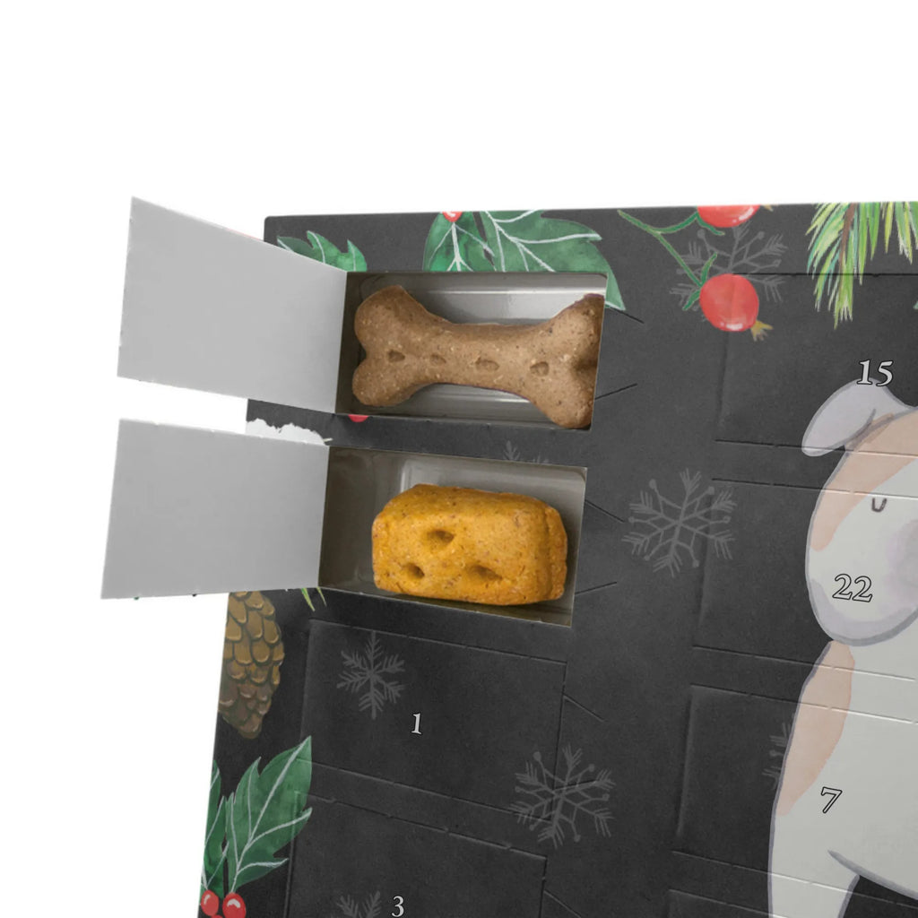 Personalisierter Hunde Adventskalender Englische Bulldogge Moment Hunde Adventskalender, Geschenk, Schenken, Hund, Hunderasse, Rassehund, Hundebesitzer, Tierfreund, Welpe, Englische Bulldogge, English Bulldog