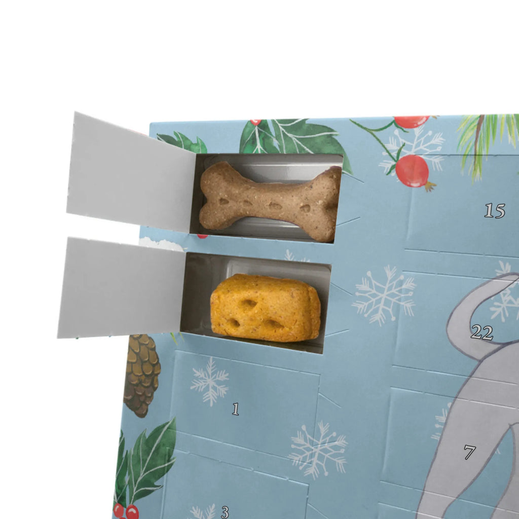  Włoskie dzwonki wiatru chwila Hunde Adventskalender, Geschenk, Schenken, Hund, Hunderasse, Rassehund, Hundebesitzer, Tierfreund, Welpe, Windhund, Italian Greyhound, Italienisches Windspiel