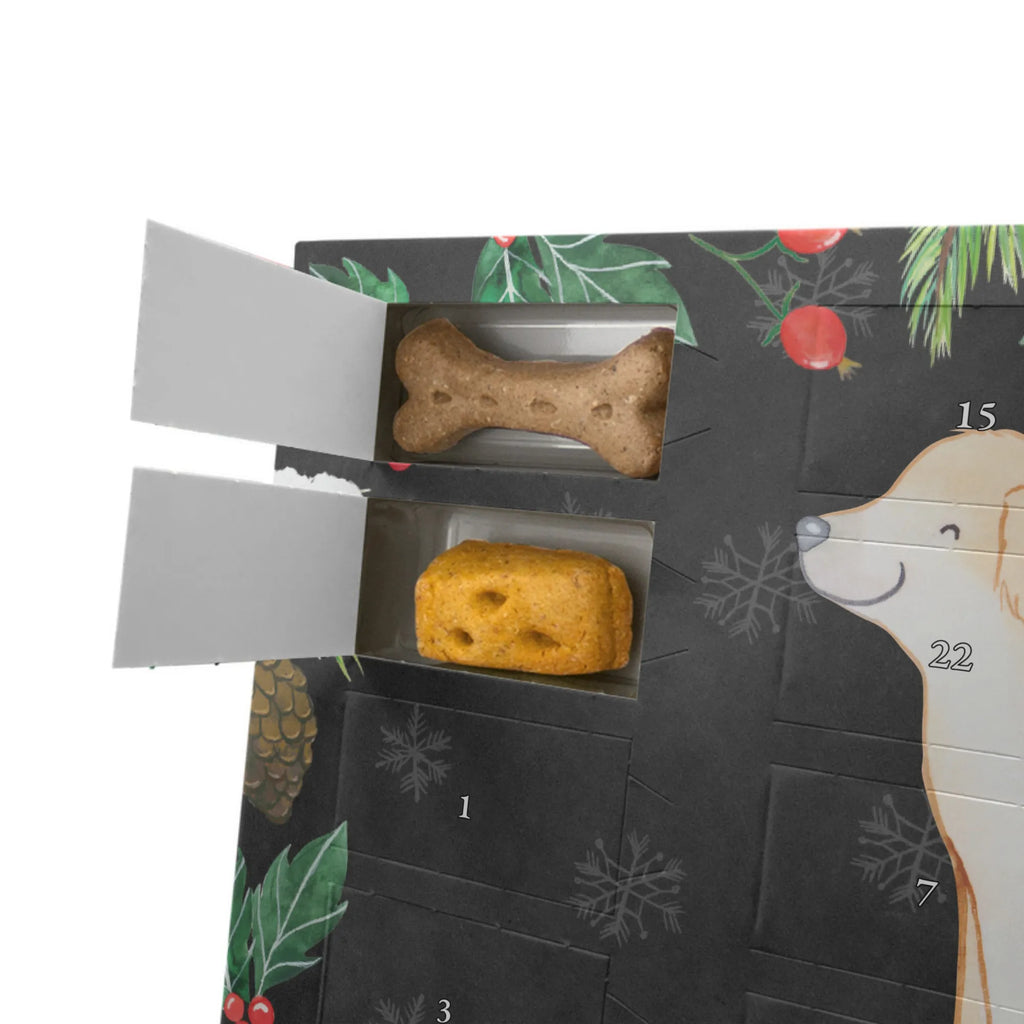  Golden Retriever moment Hunde Adventskalender, Geschenk, Schenken, Hund, Hunderasse, Rassehund, Hundebesitzer, Tierfreund, Welpe, Golden Retriever, Goldie Hund