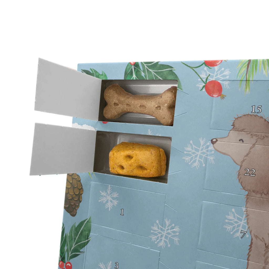  Irlandzki spaniel wodny Chwila Hunde Adventskalender, Geschenk, Schenken, Hund, Hunderasse, Rassehund, Hundebesitzer, Tierfreund, Welpe, Jagdhund, Irish Water Spaniel