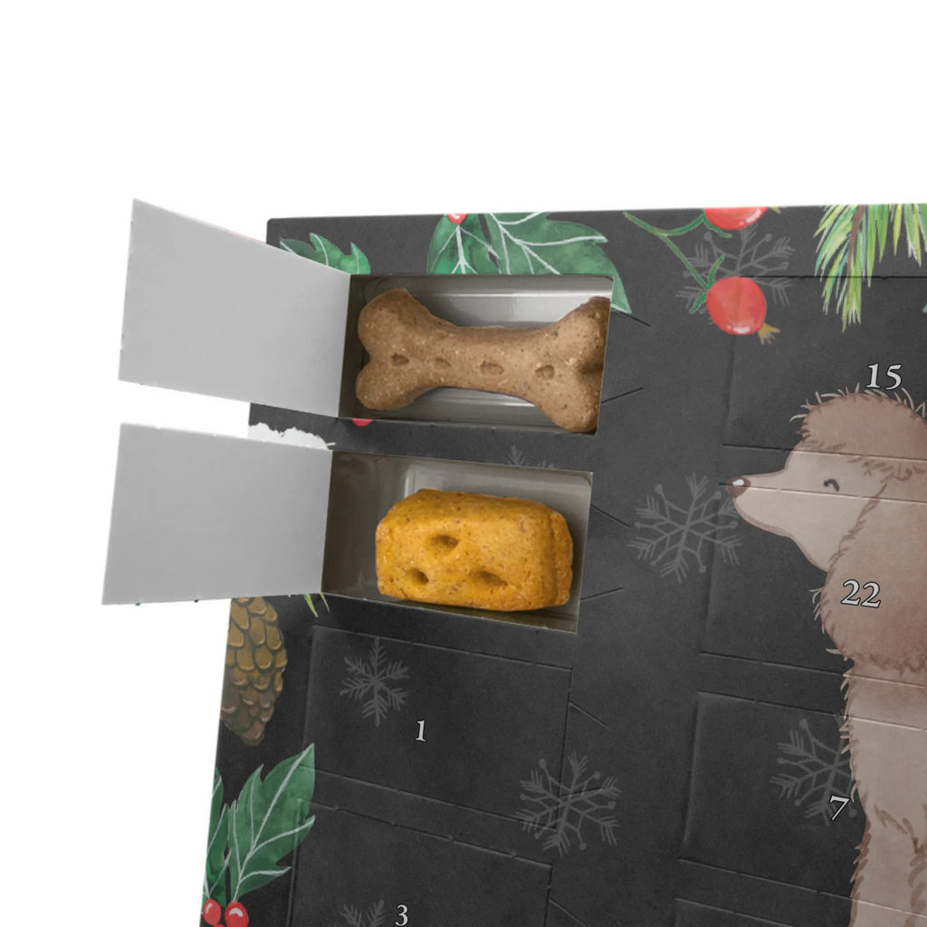  Irlandzki spaniel wodny Chwila Hunde Adventskalender, Geschenk, Schenken, Hund, Hunderasse, Rassehund, Hundebesitzer, Tierfreund, Welpe, Jagdhund, Irish Water Spaniel