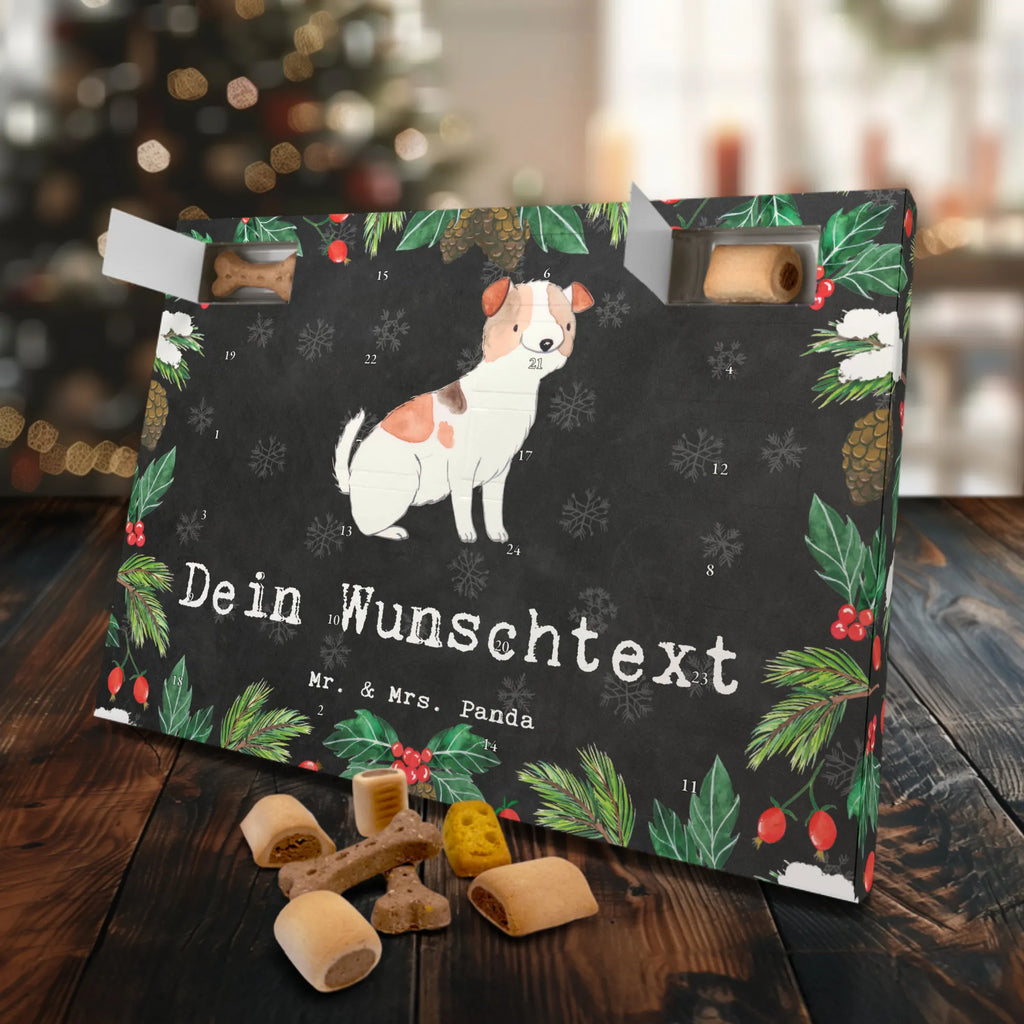  Jack Russell Terrier Moment Hunde Adventskalender, Geschenk, Schenken, Hund, Hunderasse, Rassehund, Hundebesitzer, Tierfreund, Welpe, Jack Russell Terrier