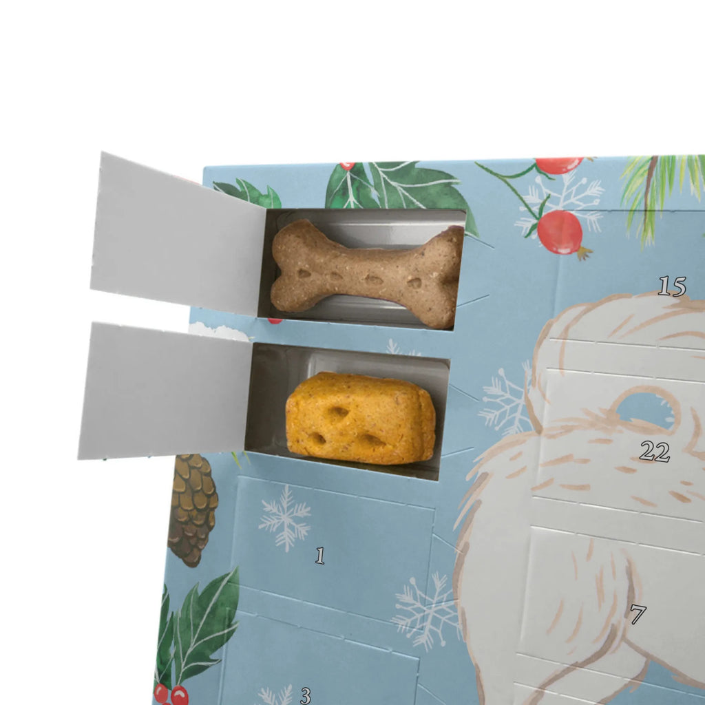  Maltipoo Moment Hunde Adventskalender, Geschenk, Schenken, Hund, Hunderasse, Rassehund, Hundebesitzer, Tierfreund, Welpe, Kreuzung, Mischling, Maltipoo