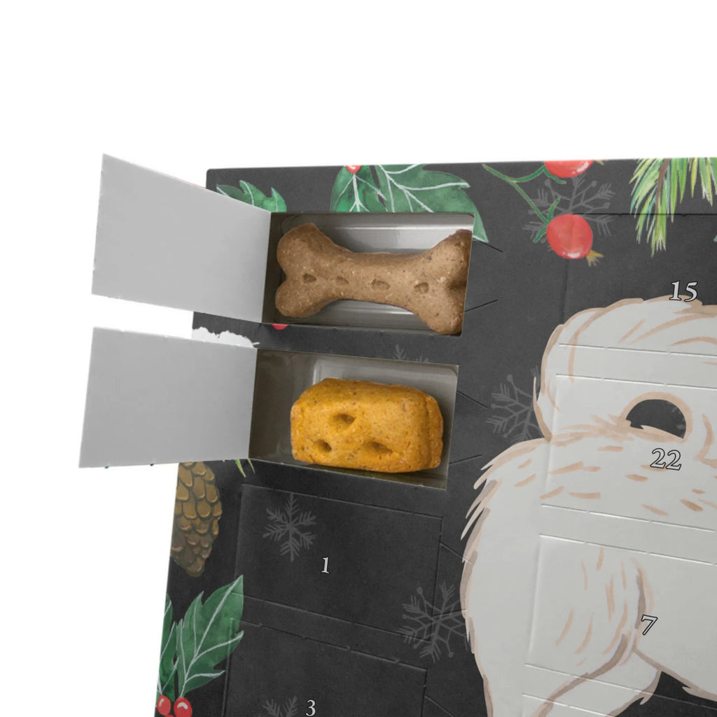  Maltipoo Moment Hunde Adventskalender, Geschenk, Schenken, Hund, Hunderasse, Rassehund, Hundebesitzer, Tierfreund, Welpe, Kreuzung, Mischling, Maltipoo