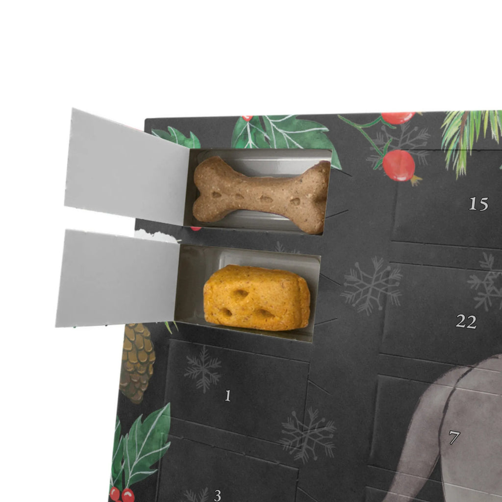 Personalisierter Hunde Adventskalender Neufundländer Moment Hunde Adventskalender, Geschenk, Schenken, Hund, Hunderasse, Rassehund, Hundebesitzer, Tierfreund, Welpe, Newfoundland, Neufundländer