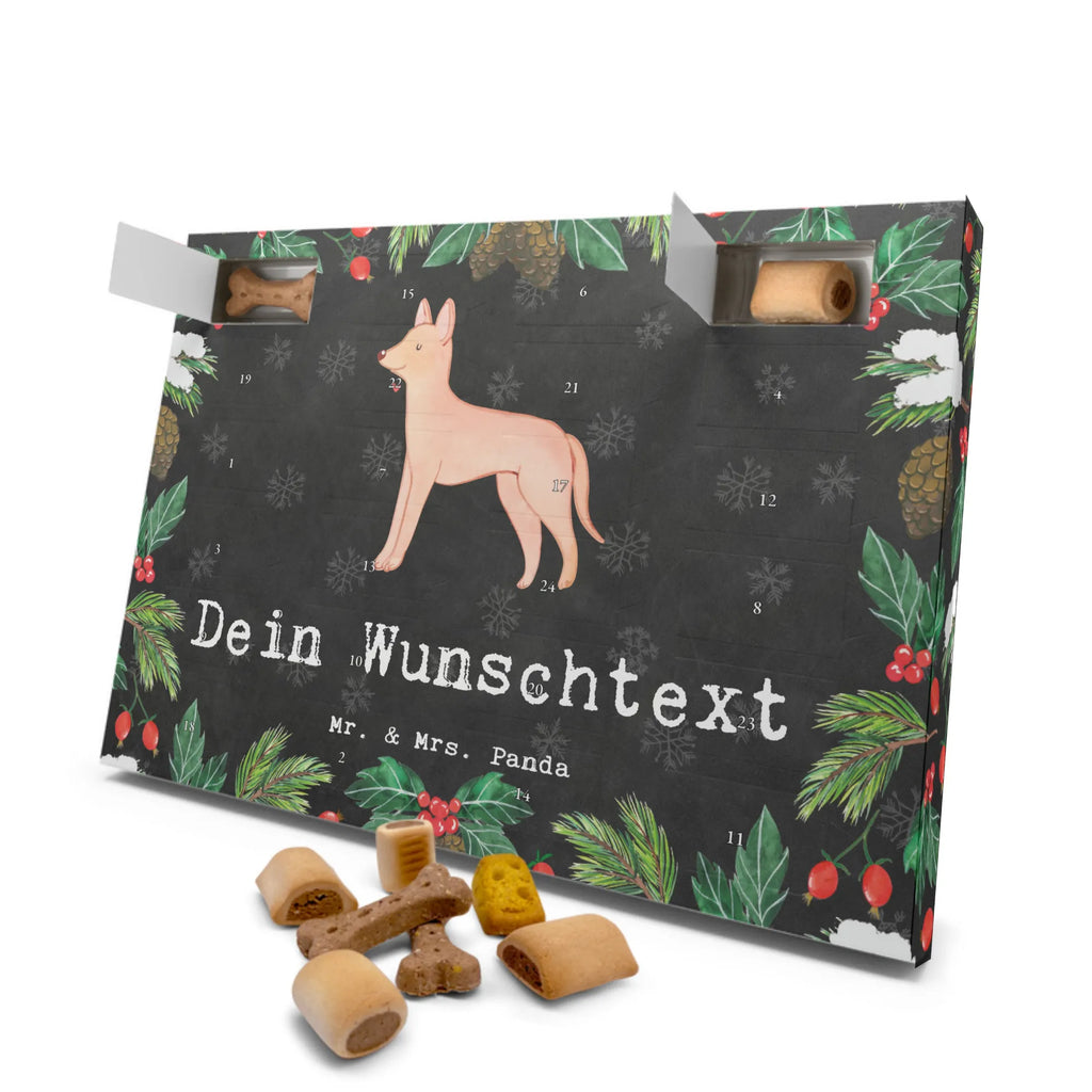 Personalisierter Hunde Adventskalender Pharaonenhund Moment Hunde Adventskalender, Geschenk, Schenken, Hund, Hunderasse, Rassehund, Hundebesitzer, Tierfreund, Welpe, Kelb Tal-Fenek, Pharaoh Hound, Pharaonenhund