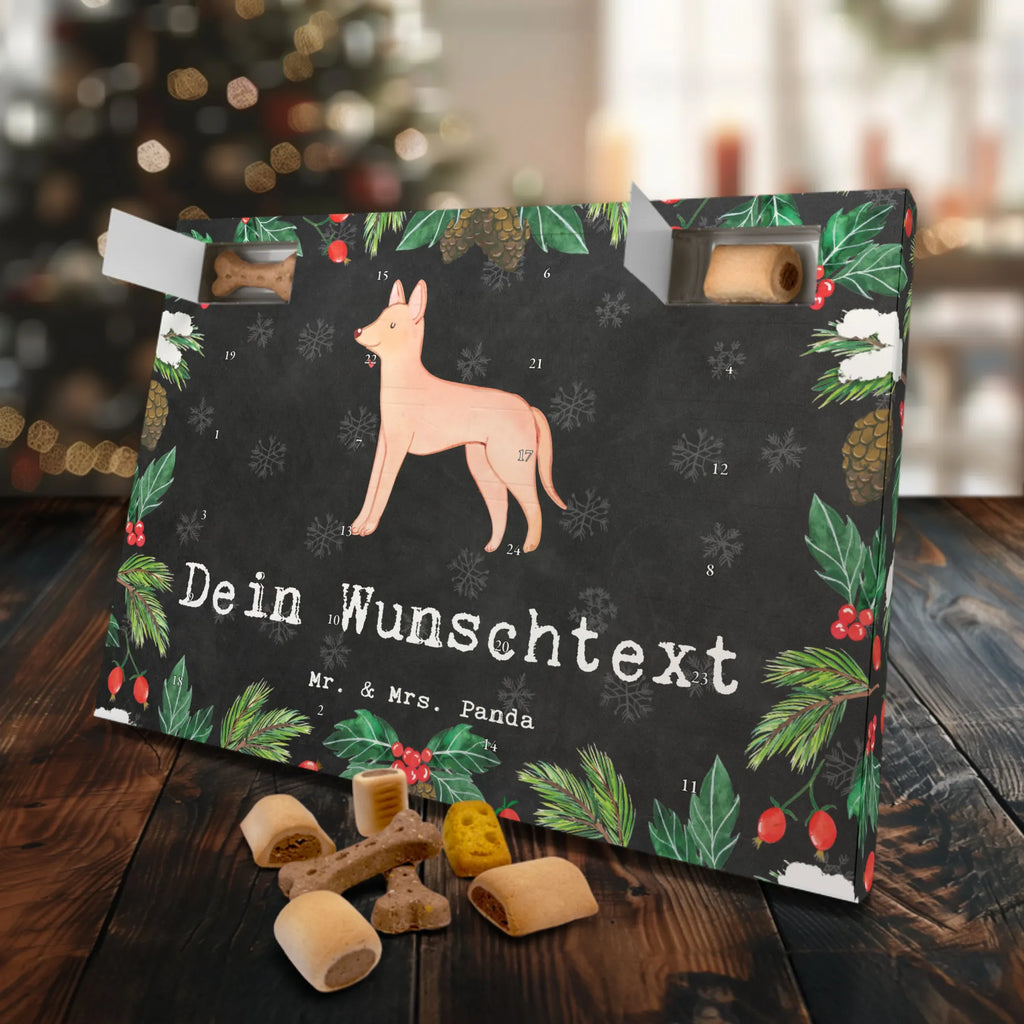 Personalisierter Hunde Adventskalender Pharaonenhund Moment Hunde Adventskalender, Geschenk, Schenken, Hund, Hunderasse, Rassehund, Hundebesitzer, Tierfreund, Welpe, Kelb Tal-Fenek, Pharaoh Hound, Pharaonenhund