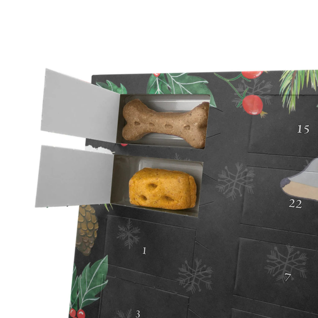  Doberman Pinscher moment Dog, dog breed, purebred dog, dog owner, gift, animal lover, giving, puppy