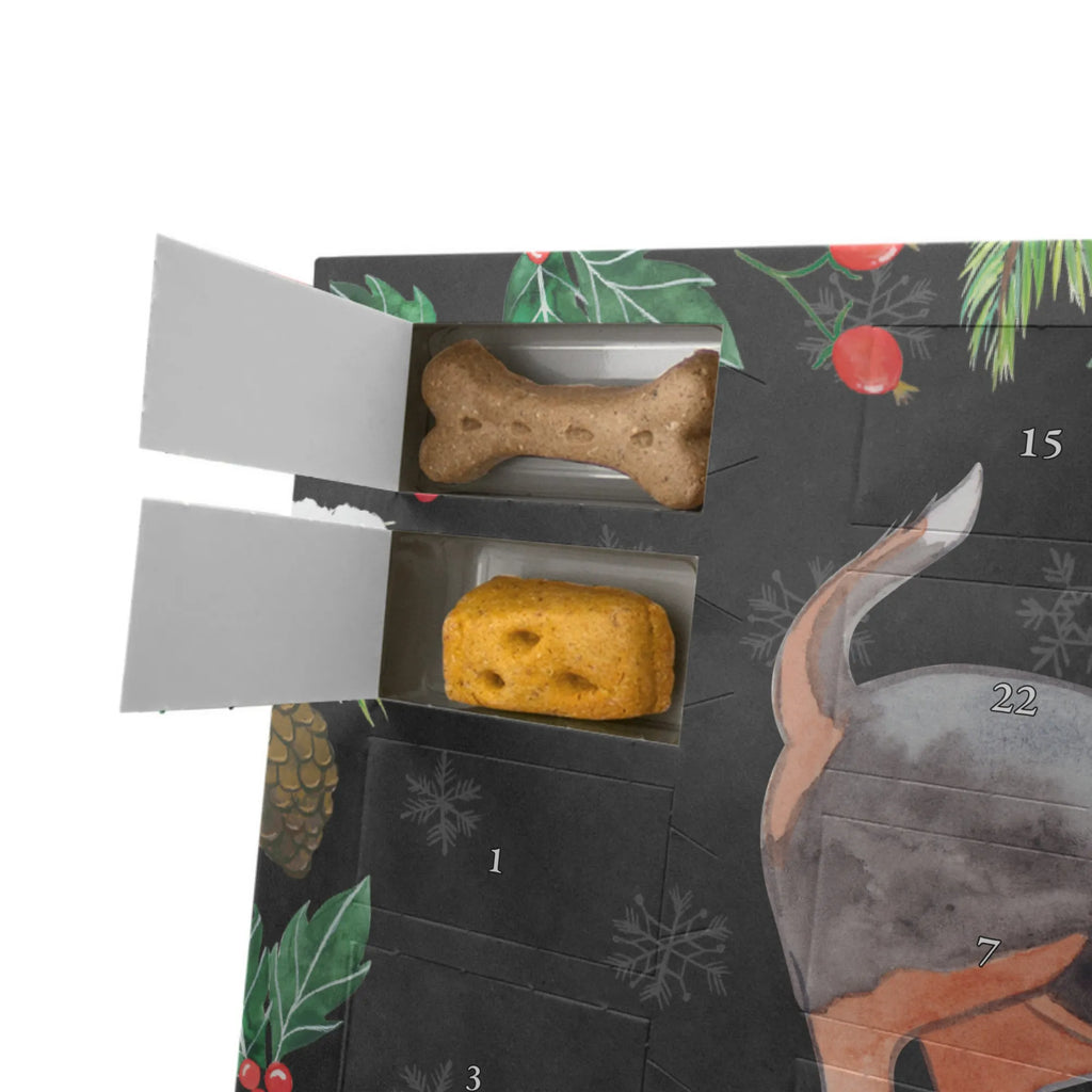  Basset Hound chwila Pies, rasa psa, pies rasowy, właściciel psa, prezent, miłośnik zwierząt, dawanie, szczeniak