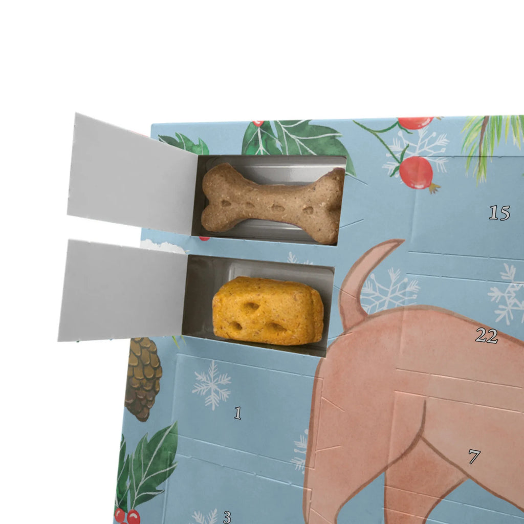 Personalisierter Hunde Adventskalender Dackel Kurzhaardackel Moment Hunde Adventskalender, Geschenk, Schenken, Hund, Hunderasse, Rassehund, Hundebesitzer, Tierfreund, Welpe, Dachshund, Kurzhaardackel, Teckel