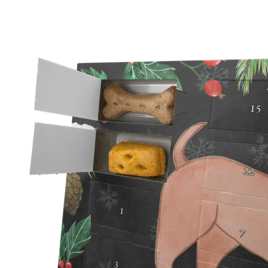 Personalisierter Hunde Adventskalender Dackel Kurzhaardackel Moment Hunde Adventskalender, Geschenk, Schenken, Hund, Hunderasse, Rassehund, Hundebesitzer, Tierfreund, Welpe, Dachshund, Kurzhaardackel, Teckel