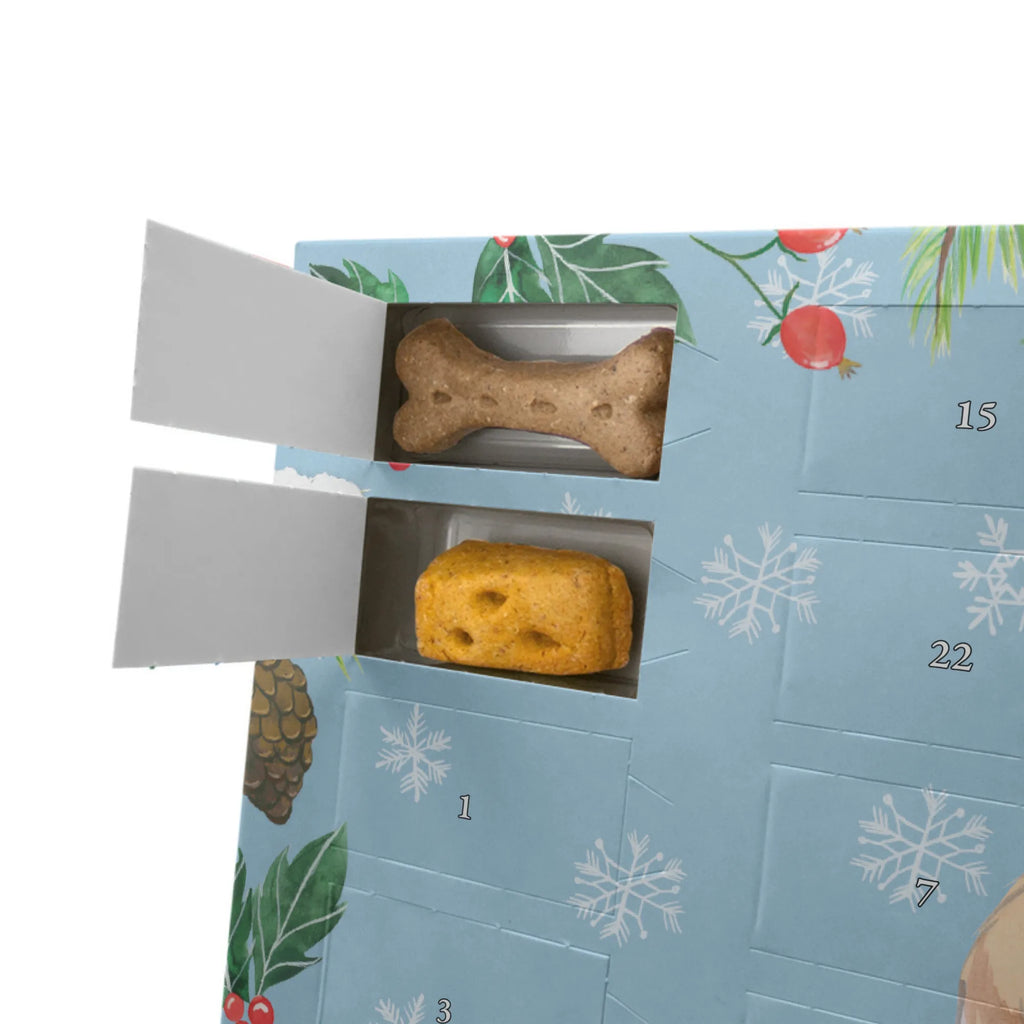  długowłosy collie Chwila Hunde Adventskalender, Geschenk, Schenken, Hund, Hunderasse, Rassehund, Hundebesitzer, Tierfreund, Welpe, Britischer Hütehund, Langhaar Collie