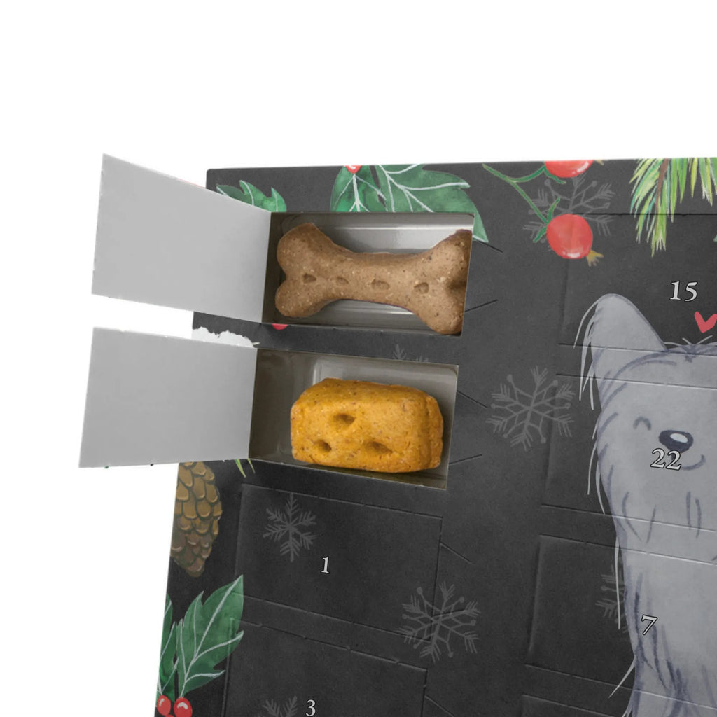  Skye Terrier Moment Hunde Adventskalender, Geschenk, Schenken, Hund, Hunderasse, Rassehund, Hundebesitzer, Tierfreund, Welpe, Terrier, Skye Terrier