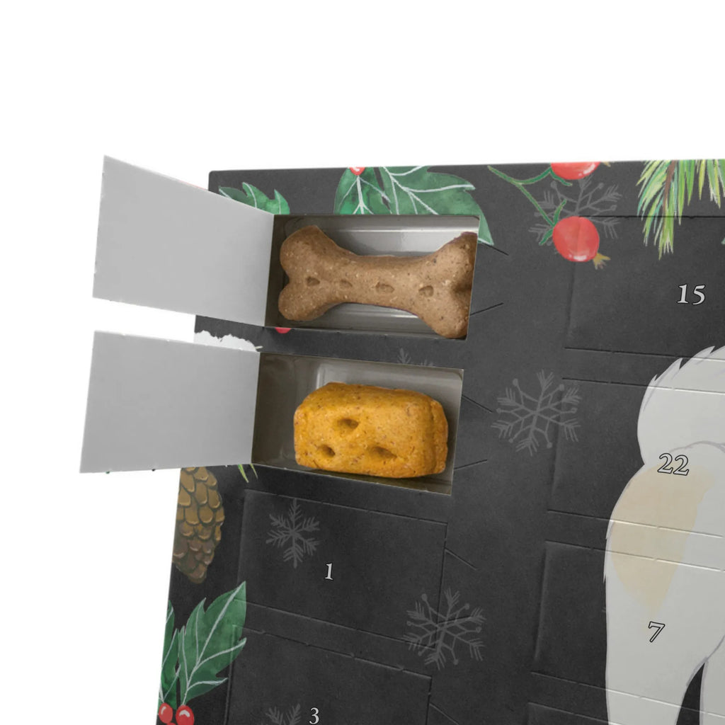  tajski Bangkaew Chwila Hunde Adventskalender, Geschenk, Schenken, Hund, Hunderasse, Rassehund, Hundebesitzer, Tierfreund, Welpe, Thai Bangkaew Dog