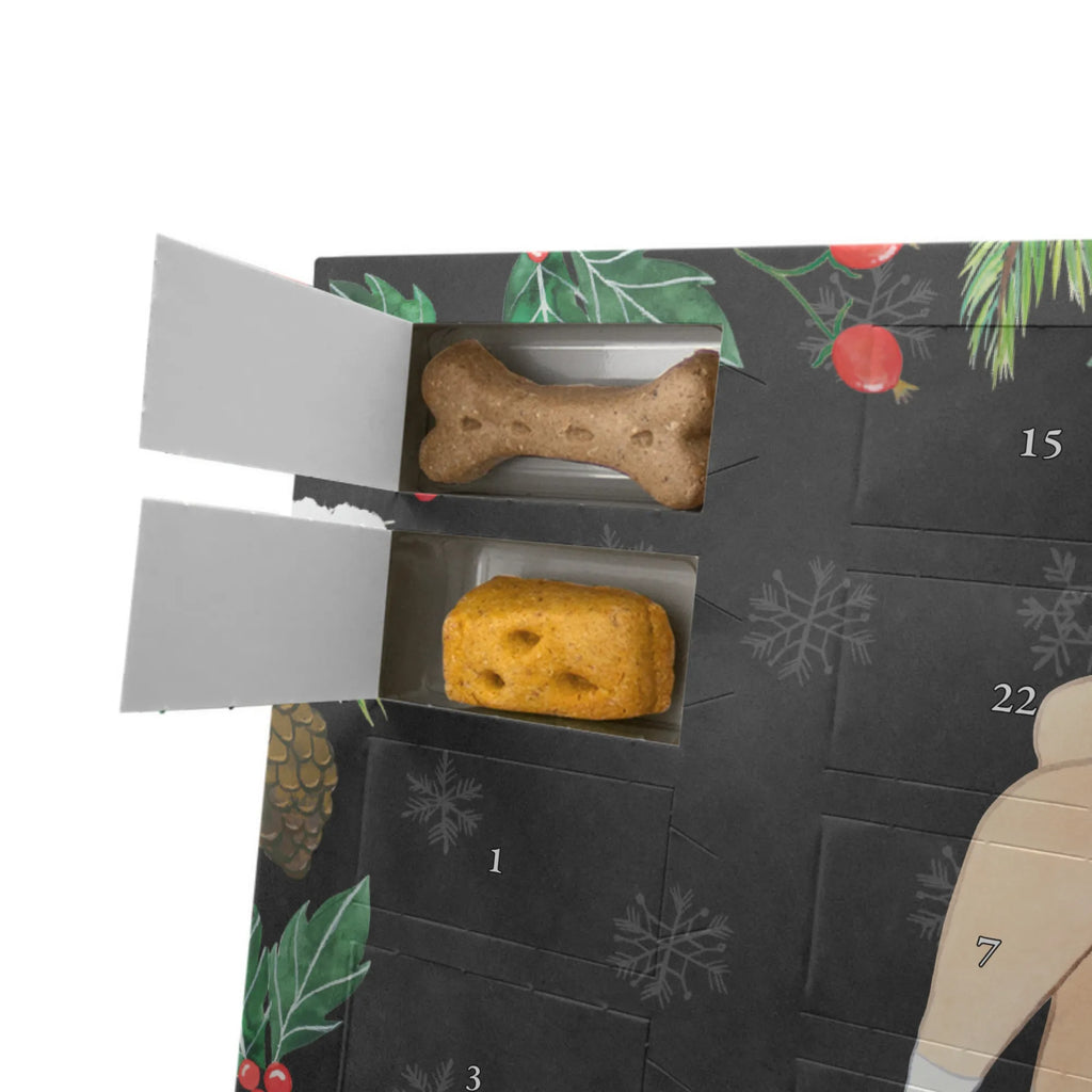 Dog advent calendar Basenji moment Pets, Christmas Calendar, Christmas, 2019, Dogs Advent Calendar, Calendar, Dog, dog breed, purebred dog, dog owner, gift, animal lover, giving, puppy