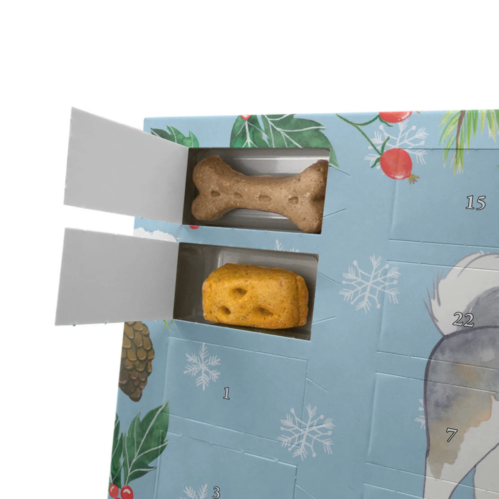 Hunde Adventskalender Siberian Husky Moment Hunde Adventskalender, Kalender, Adventskalender für Hunde, Weihnachtskalender, Geschenk, Schenken, Hund, Hunderasse, Rassehund, Hundebesitzer, Tierfreund, Welpe, Siberian Husky