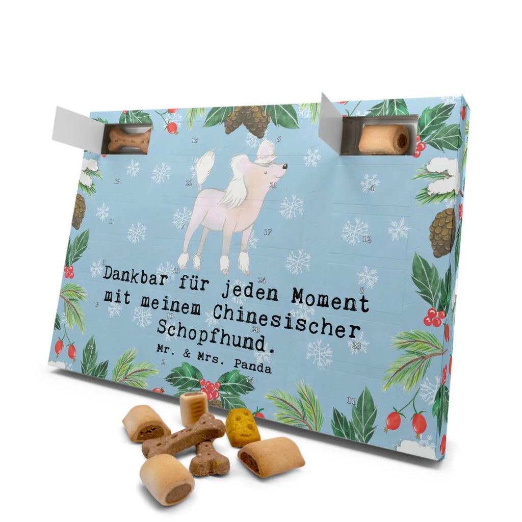 Hunde Adventskalender Chinesischer Schopfhund Moment Kalender, Adventskalender für Hunde, Weihnachtskalender, Hunde Adventskalender, Geschenk, Schenken, Hund, Hunderasse, Rassehund, Hundebesitzer, Tierfreund, Welpe, Chinese Crested Dog, Chinesischer Schopfhund