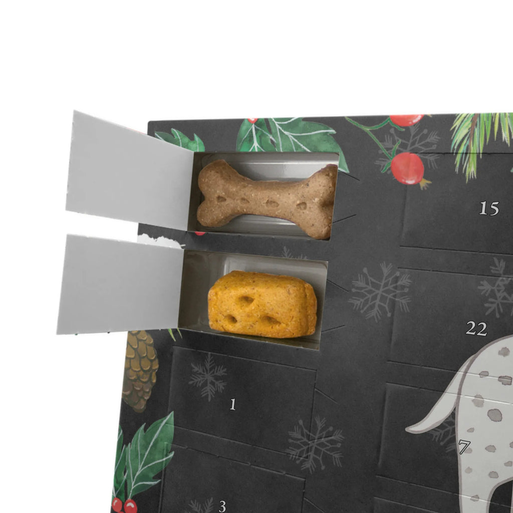  Dalmatyńczyk Chwila Weihnachtskalender, Kalender, Hunde Adventskalender, Adventskalender für Hunde, Geschenk, Schenken, Hund, Hunderasse, Rassehund, Hundebesitzer, Tierfreund, Welpe, Dalmatinac, Dalmatiner