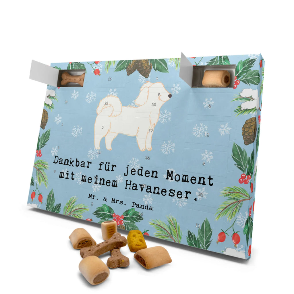 Hunde Adventskalender Havaneser Moment Hunde Adventskalender, Kalender, Adventskalender für Hunde, Weihnachtskalender, Geschenk, Schenken, Hund, Hunderasse, Rassehund, Hundebesitzer, Tierfreund, Welpe, Havaneser, Bichon Havanais, Bichón Habanero, Havi