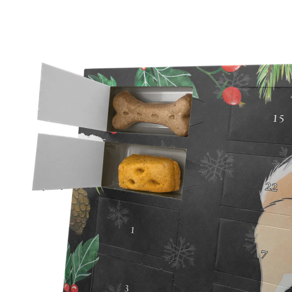  pies islandzki Chwila Pies, rasa psa, pies rasowy, właściciel psa, prezent, miłośnik zwierząt, dawanie, szczeniak