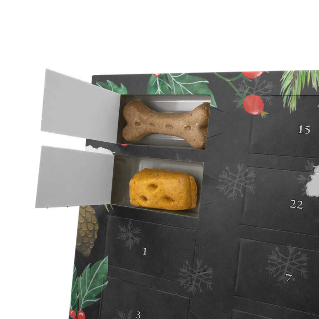 Dog advent calendar Miniature Poodle Moment Calendar, Christmas, Dogs Advent Calendar, Christmas Calendar, Pets, 2019, Dog, dog breed, purebred dog, dog owner, gift, animal lover, giving, puppy