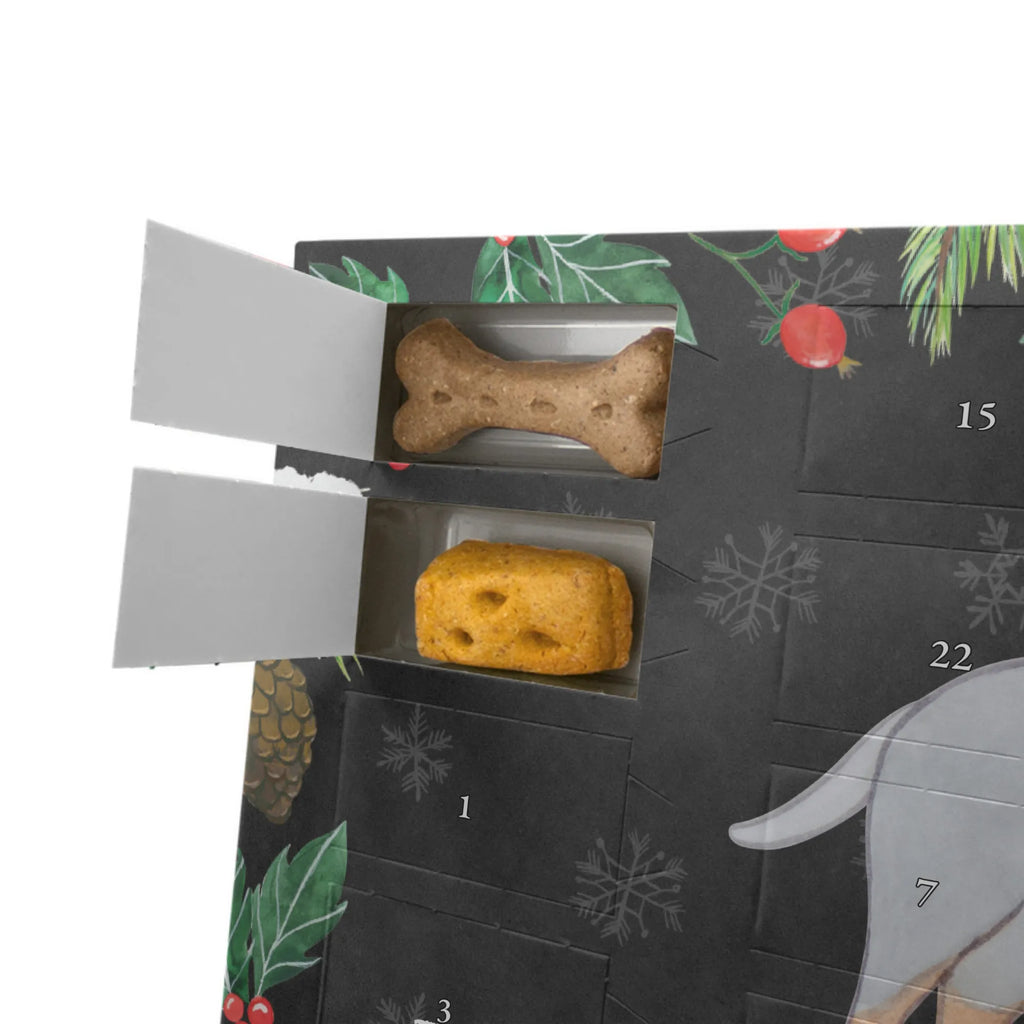 Dog advent calendar Manchester Terrier Moment Kalender, Hunde Adventskalender, Adventskalender für Hunde, Weihnachtskalender, Geschenk, Schenken, Hund, Hunderasse, Rassehund, Hundebesitzer, Tierfreund, Welpe, Manchester Terrier