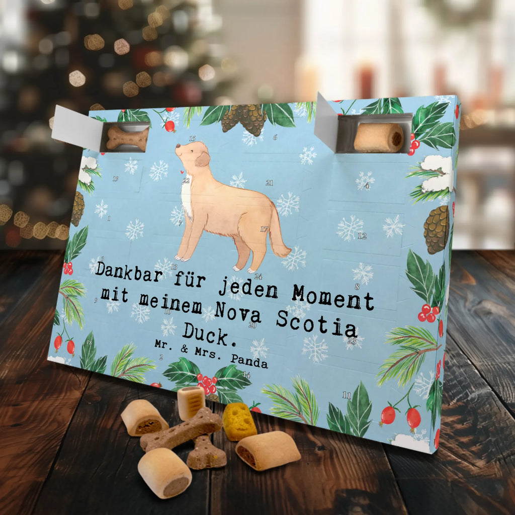  Kaczka z Nowej Szkocji Chwila Pies, rasa psa, pies rasowy, właściciel psa, prezent, miłośnik zwierząt, dawanie, szczeniak